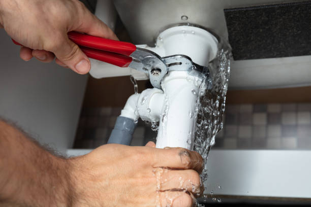 Best Flood damage cleanup  in Avondale, AZ