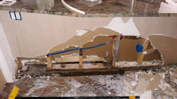 Best Water damage mitigation services  in Avondale, AZ