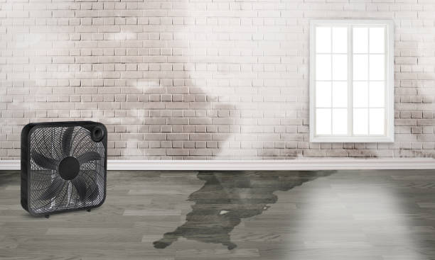 Best Water damage restoration near me  in Avondale, AZ