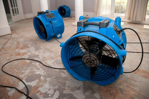 Best Water damage restoration insurance claims  in Avondale, AZ