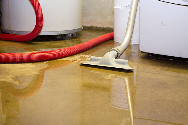 Best Residential water damage restoration  in Avondale, AZ