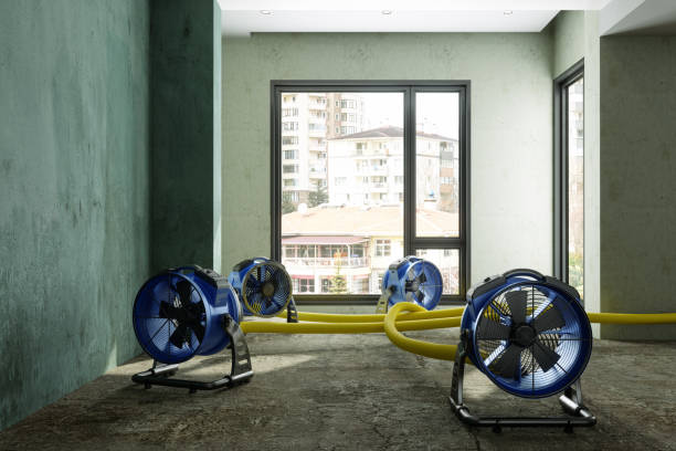 Best Commercial water damage restoration  in Avondale, AZ