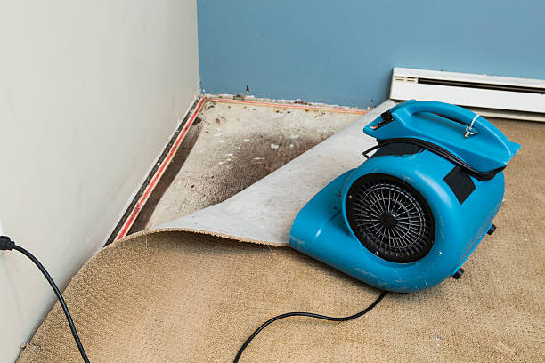 Best Water damage contractors near me  in Avondale, AZ